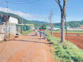 1 sào hẻm ql20, hiệp an cũ, đức trọng, lâm đồng