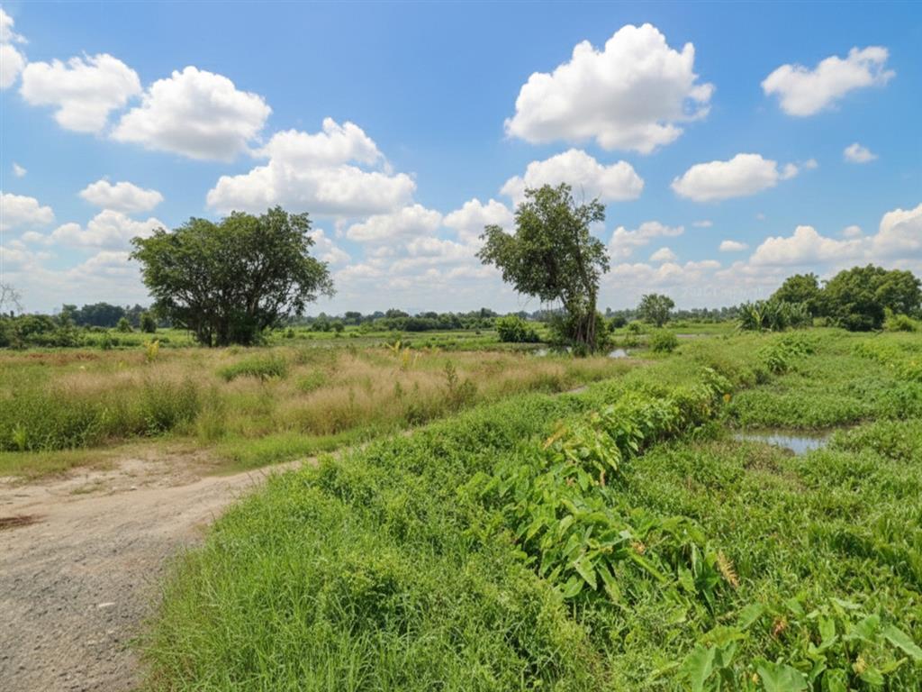 T1753 🔥 đất Thạnh Xuân 52 Hóc Môn, SHR, HXT, 55x51m, 16.x tỷ