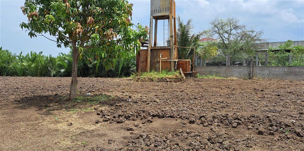 Cho thuê mặt bằng với 480m2 thổ cư và 1,433m2 đất lúa