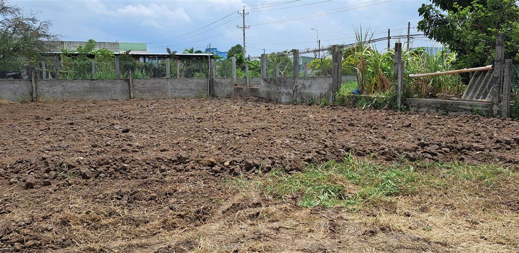 Cho thuê mặt bằng với 480m2 thổ cư và 1,433m2 đất lúa