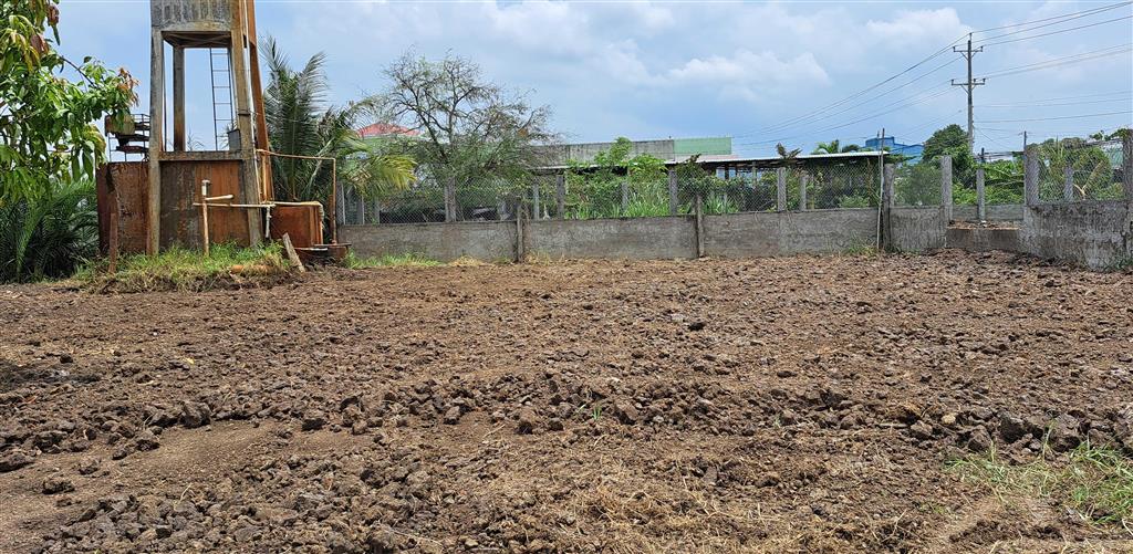 Cho thuê mặt bằng với 480m2 thổ cư và 1,433m2 đất lúa