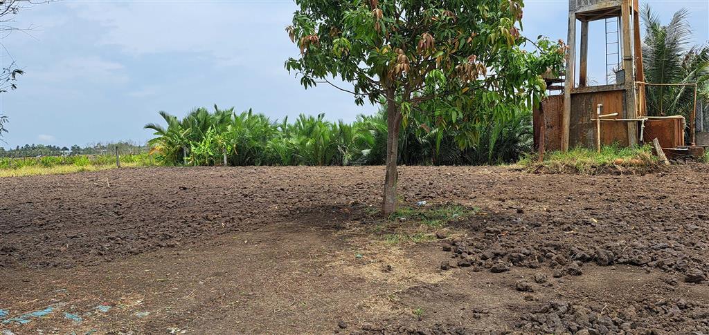 Cho thuê mặt bằng với 480m2 thổ cư và 1,433m2 đất lúa