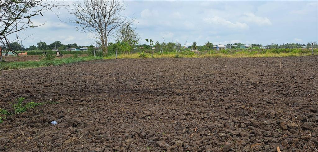 Cho thuê mặt bằng với 480m2 thổ cư và 1,433m2 đất lúa
