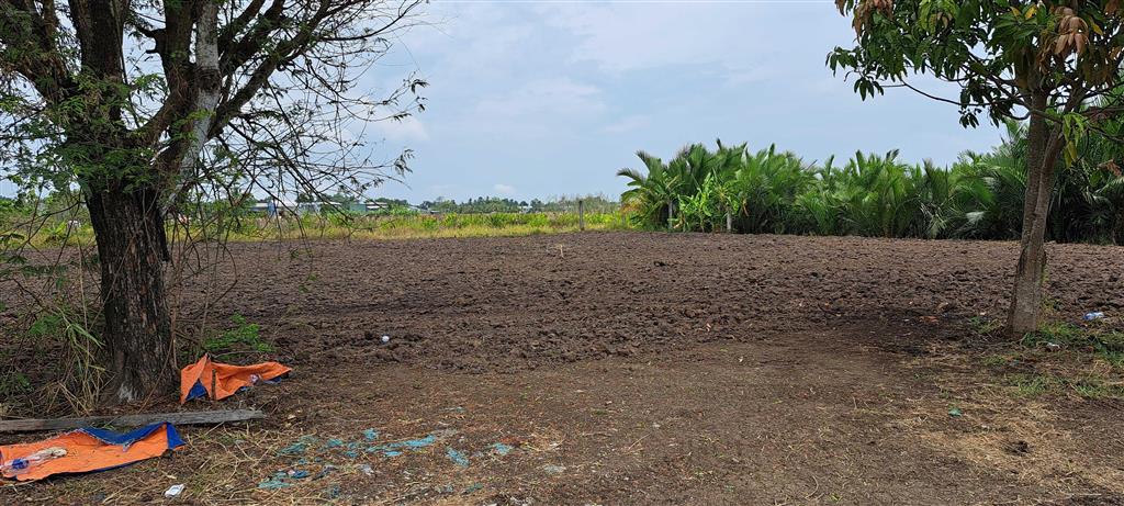 Cho thuê mặt bằng với 480m2 thổ cư và 1,433m2 đất lúa