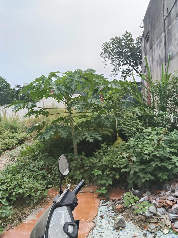 Bán đất cạnh đh mỏ địa chất, hv tài chính, 180m2, mt 10 m, ô tô 10 m, 20 m ô tô tránh, giá 12 tỷ