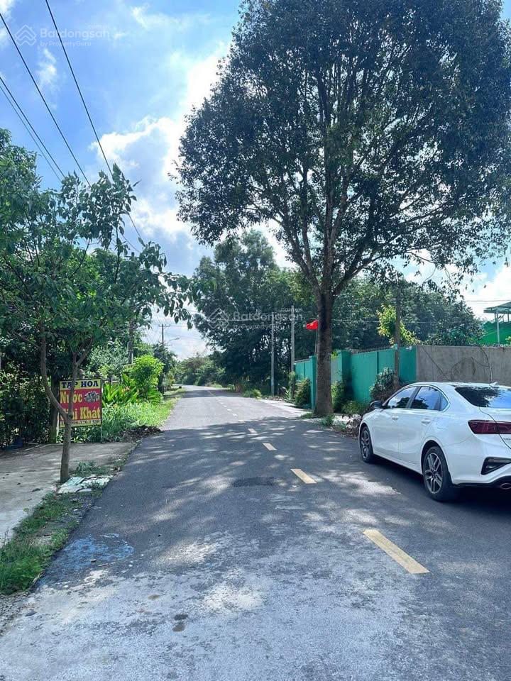 Bán nhanh đất 5x49m nở hậu thổ cư 100% tỉnh lộ 15 thích hợp xây trọ, xưởng, làm nhà vườn, giữ tiền