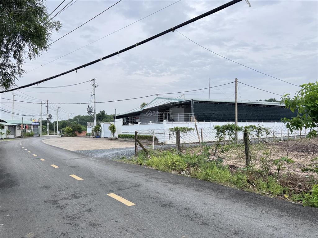 Hàng đẹp xuất hiện ngay 241.5m2 thổ cư 100% nở hậu vuông vắn 5x49m, quy hoạch kdc hiện hữu