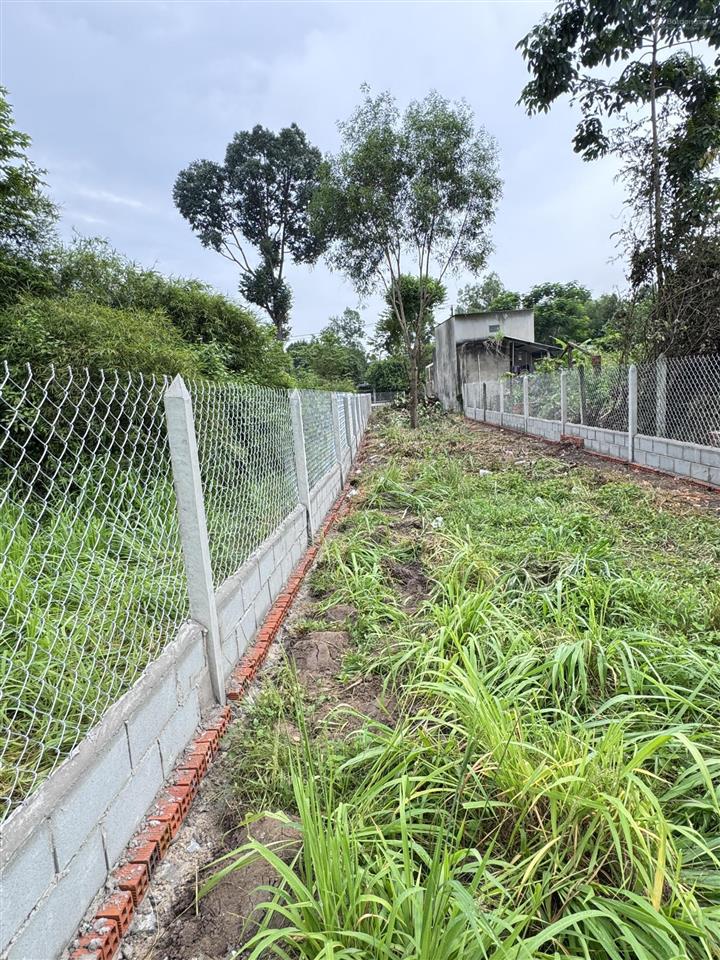 Hàng đẹp xuất hiện ngay 241.5m2 thổ cư 100% nở hậu vuông vắn 5x49m, quy hoạch kdc hiện hữu