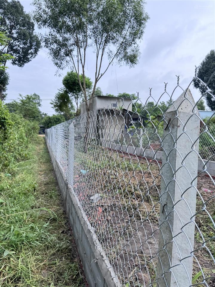 Hàng đẹp xuất hiện ngay 241.5m2 thổ cư 100% nở hậu vuông vắn 5x49m, quy hoạch kdc hiện hữu