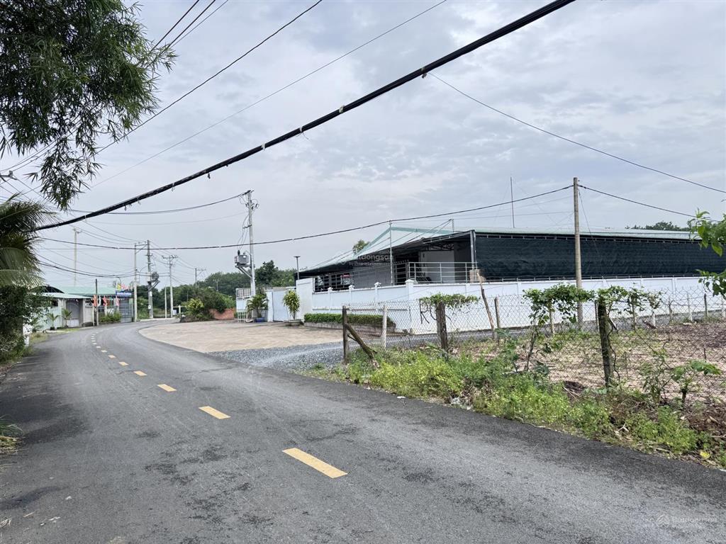 241,5m2 (5x49m) full thổ, đất nở hậu làm nhà trọ, làm xưởng, setup nhà vườn