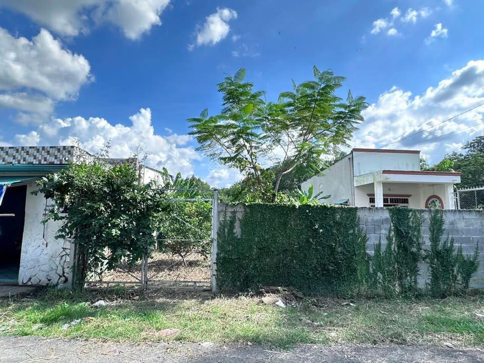 Khách có 2 tỷ 4 mà còn bớt xem qua lô thổ cư 100% đường xe container để dành làm kho xưởng trọ oke