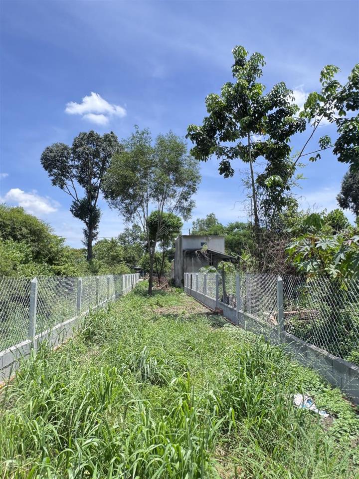 Khách có 2 tỷ 4 mà còn bớt xem qua lô thổ cư 100% đường xe container để dành làm kho xưởng trọ oke