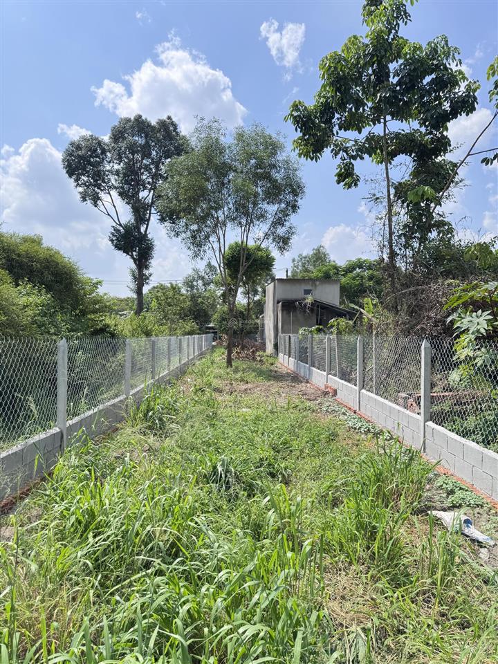 Chính chủ bán đất thổ 100% nở hậu 5x49m mặt tiền nhà nước 1/ tỉnh lộ 15 nhỉnh 2 tỷ
