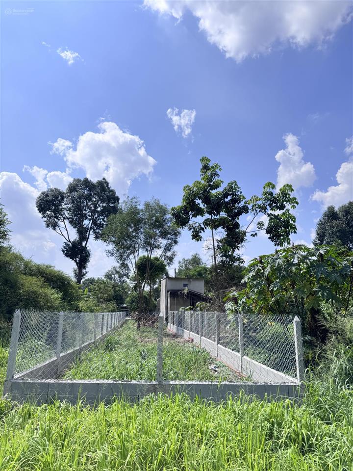 Chính chủ bán đất thổ 100% nở hậu 5x49m mặt tiền nhà nước 1/ tỉnh lộ 15 nhỉnh 2 tỷ