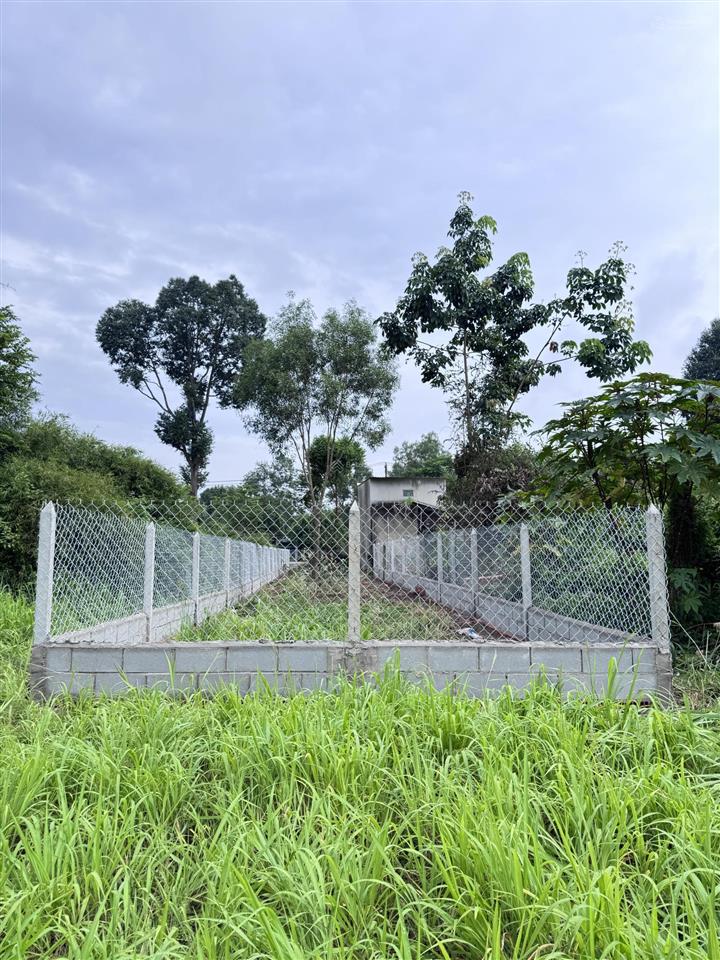 Hạ giá đất thổ cư 241,5m2, sổ vuông nở hậu, xây dựng ngay, qh khu dân cư hiện hữu