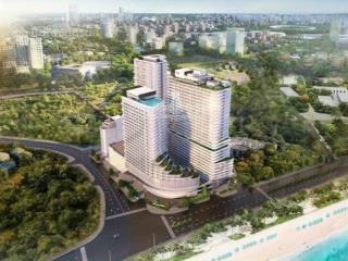 Chính chủ cần bán 3 căn hộ chung cư csj thuỳ vân  thi sách bãi sau vũng tàu cực đẹp