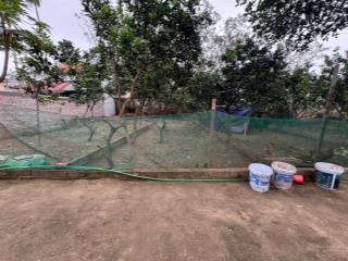 Bán 35m2 đất tổ 9, quang minh, mê linh. gần kcn và trường cao đẳng y dược tuệ tĩnh