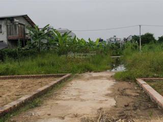 Bán lô đất 3 mặt thoáng, tổ 10 (cũ), quang minh, mê linh. đường 3m, ô tô qua lại. gần kcn