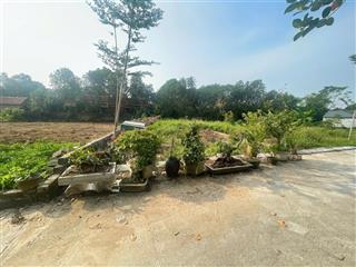 Chủ vay ngân hàng cắt lỗ lô đất 155,5m2 thôn đồi sen, bình yên, cách tl 420 chỉ 400m ra đh fpt 5p