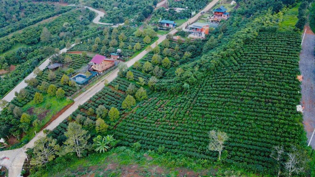 2700m2 trong khu cộng đồng cư dân, sẵn hàng xóm, làng có sẵn 30 cư dân về ở.