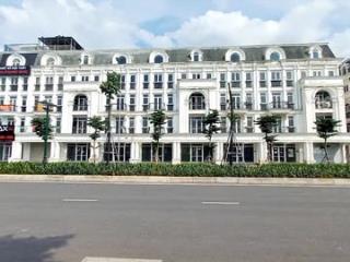 Cho thuê căn liền kề đường lê giản tại kđt louiscity đại mỗ đã hoàn thiện có thể dùng ngay