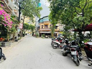 Mảnh đất vàng trong làng đầu tư, phân lô ôtô tránh, view vườn hoa công viên, an sinh đỉnh cao
