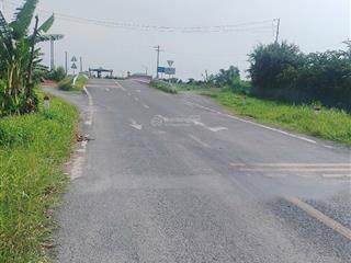 Bán đất tại thiện trung, cái bè, tiền giang, giá 28 tỷ, 2,5ha cách trường tiểu học mỹ trung 300m