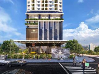 Chính chủ bán căn hộ chung cư cao cấp tòa capital elite 18 phạm hùng dt.115m giá tốt . e hải