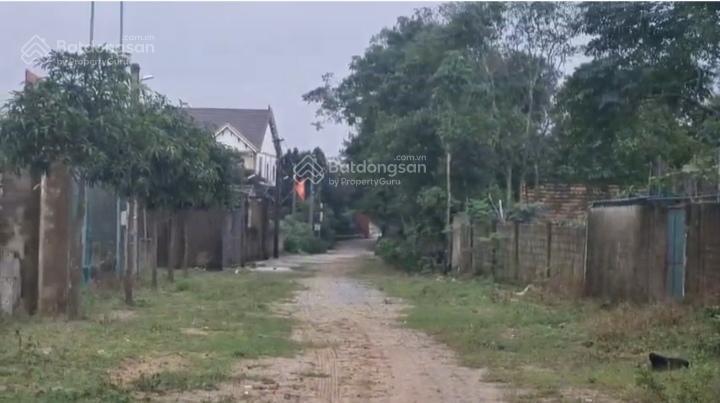 Bán đất đẹp tại xã xuân yên, nghi xuân, hà tĩnh, 450 triệu, 125m2