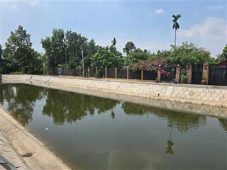 Bán đất thạnh xuân 48 ngay trường tô ngọc vân, quận 12