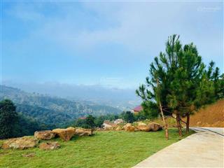 Đất nền nghỉ dưỡng 2500m2 ngay bảo lộc, view cao, sh tặng ngay đường hoa phượng tím, nhà gỗ 500tr