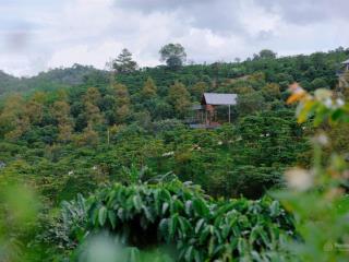 Cộng đồng tri thức sống tử tế, kiến trúc gỗ  sống xanh  1000m2, chọn lọc, không dành cho số đông