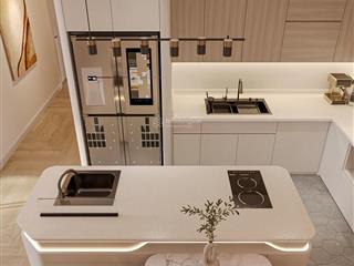 Chính chủ bán gấp ch 2 ngủ . phân khu the tonkin , 55m2, giá 4.260 tỷ, view thành phố siêu đẹp