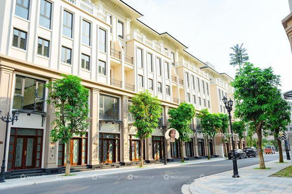 Chính chủ cần bán lk shophouses ngay chân chung cư giá 8.9 tỷ rẻ nhất vin 3