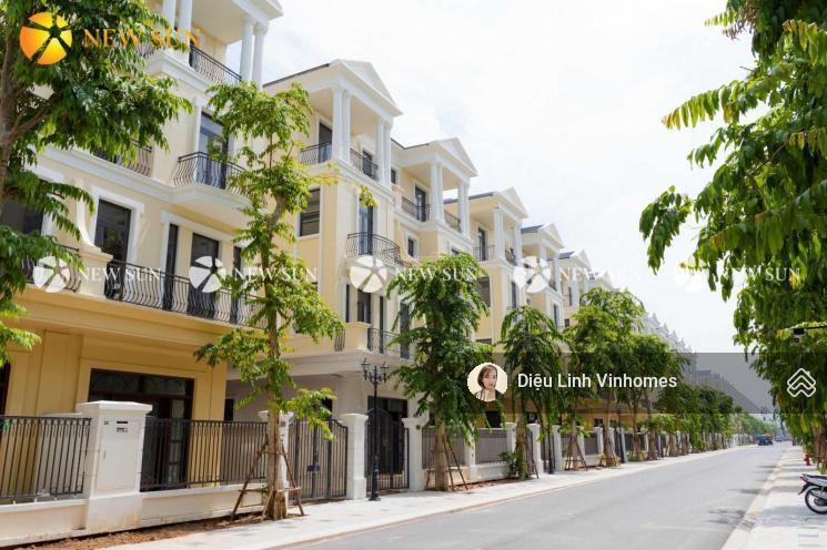 Chính chủ gửi bán tứ lập đảo dừa bán lại chỉ 15,8 tỷ