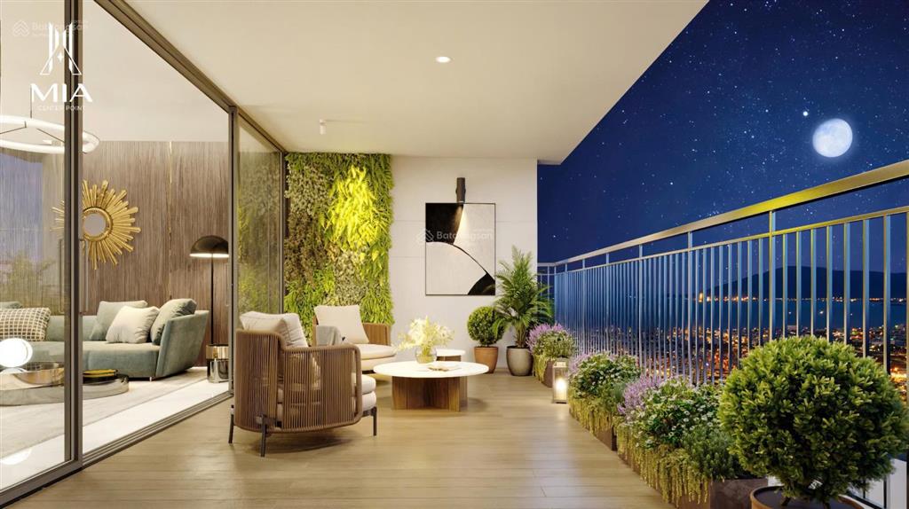 Ngoại giao 5 căn mia center point view biển độc quyền dự án