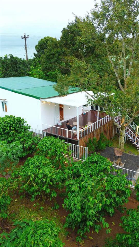 Bán nhà bảo lâm 2 (lộc an) nhà mặt tiền đường lớn thôn tứ quý, có view siêu chill ngay nhà máy chè