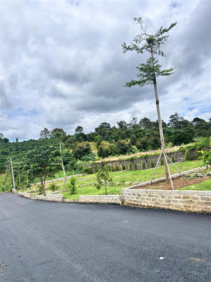 Bán đất bảo lâm 2 ( lộc an ) đất chuẩn biệt thự mini ngay khu dân cư , đầy đủ tiện ích