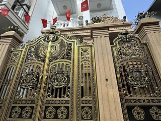 Tuyệt tác việt hưng biệt thự phố 6 tầng  100m2  thang máy nhập khẩu  đẳng cấp thượng lưu