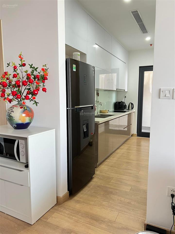 Chỉ 14 triệu! chính chủ cho thuê căn 2 ngủ tại hinode city, dt 76,8m2 view thành phố, có slot ô tô