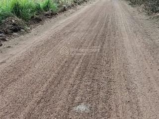 Bán đất đường chính sắp lên nhựa thông ra đh 509