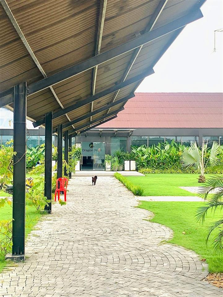 Chủ ngộp cần bán gấp nền 5x18m = 90m2 sổ hồng riêng, giá 1tỷ350 thuộc gđ 1 của dự án dragon pearl