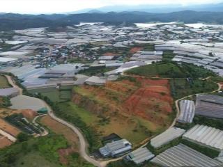 Hàng hiếm 2,6ha giá 120tỷ thị trấn lạc dương, đà lạt, lâm đồng