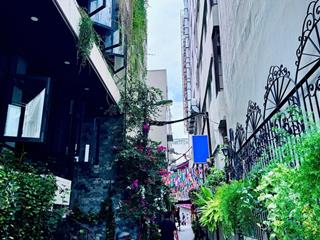 Siêu phẩm 165tr/m2 dt 200.3m2 lô đất ngay biển, đường biệt thự, nha trang, khánh hòa