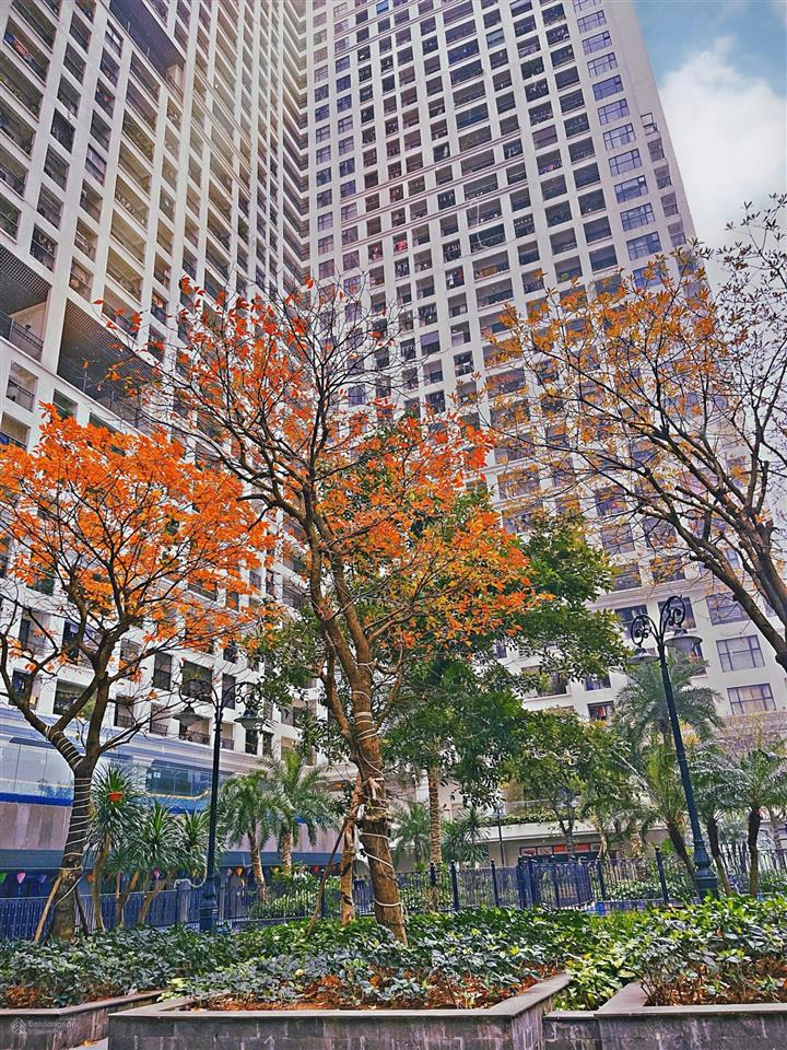 Cho thuê căn hộ 10 triệu phố minh khai sunshine garden (cạnh time city) 1 ngủ. minh anh 0944 394 ***
