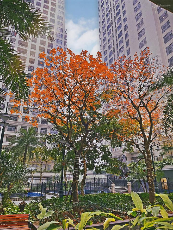 Cho thuê căn hộ 10 triệu phố minh khai sunshine garden (cạnh time city) 1 ngủ. minh anh 0944 394 ***