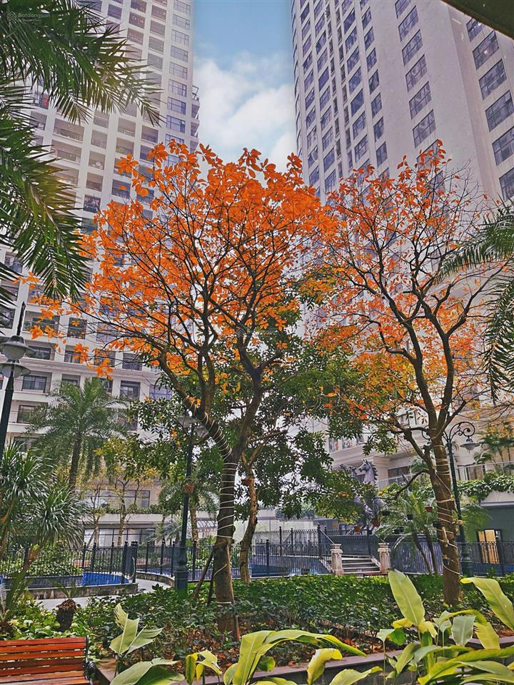 Cho thuê 1 ngủ cao cấp 10 triệu phố minh khai sunshine garden (cạnh time city) e 0944 394 ***