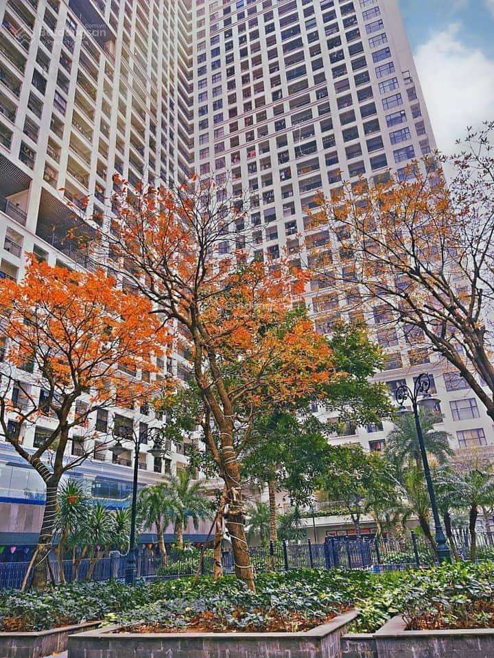 Bán chcc 124m2, 3pn giá 8,8 tỷ phố minh khai cạnh times city sunshine palace, e. minh anh