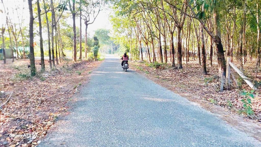 Minh thạnh  tp hcm mặt tiền nhựa trung tâm 1000m2 200m2 thổ cư 1tỷ350