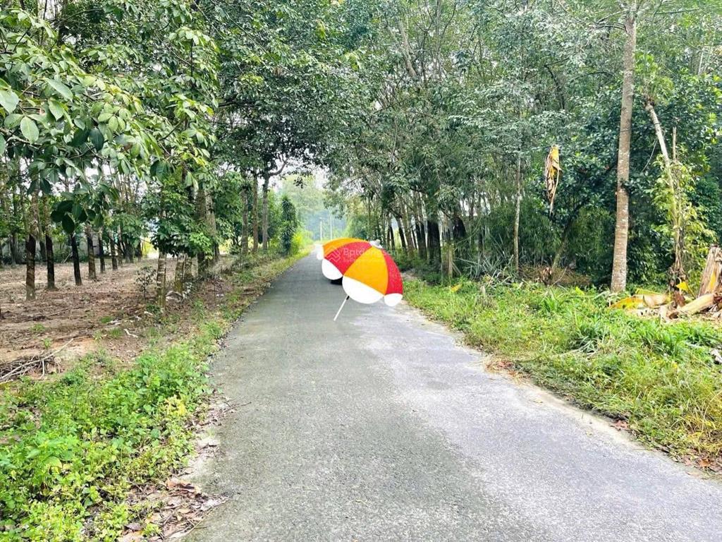 Minh thạnh  tp hcm mặt tiền nhựa trung tâm 1000m2 200m2 thổ cư 1tỷ350